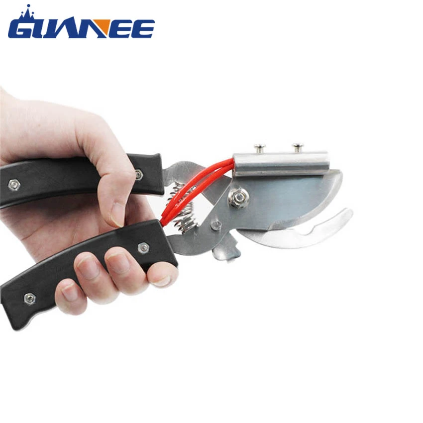 product-850-850 product-850-850