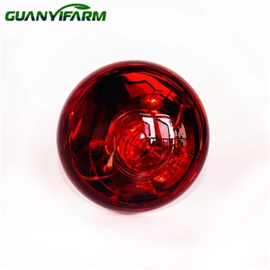 چوزوں کے لیے انفراریڈ بلب