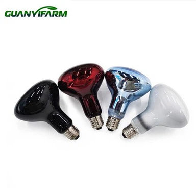 رینگنے والے جانوروں کے لیے اورکت روشنی