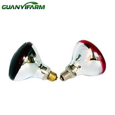 PAR38 بریڈنگ ہیٹنگ لیمپ