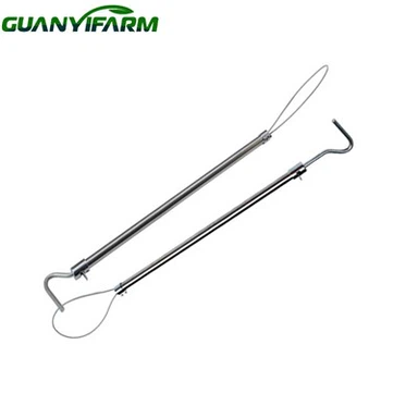 سور پکڑنے کا جال